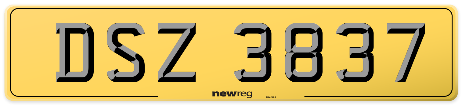DSZ 3837 Rear Number Plate
