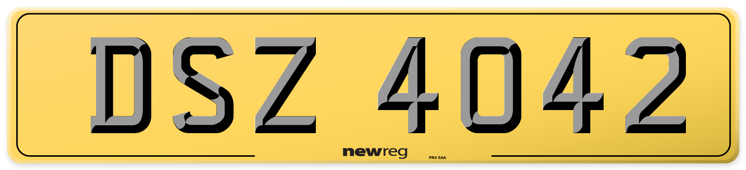 DSZ 4042 Rear Number Plate