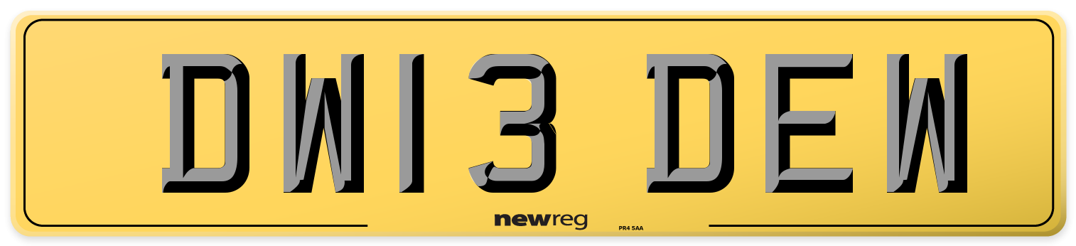 DW13 DEW Rear Number Plate