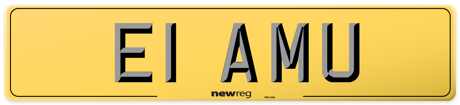 E1 AMU Rear Number Plate