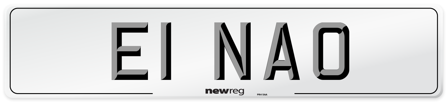 E1 NAO Front Number Plate