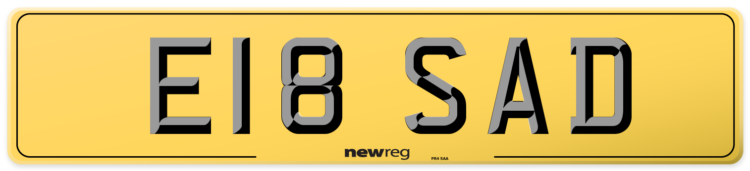 E18 SAD Rear Number Plate
