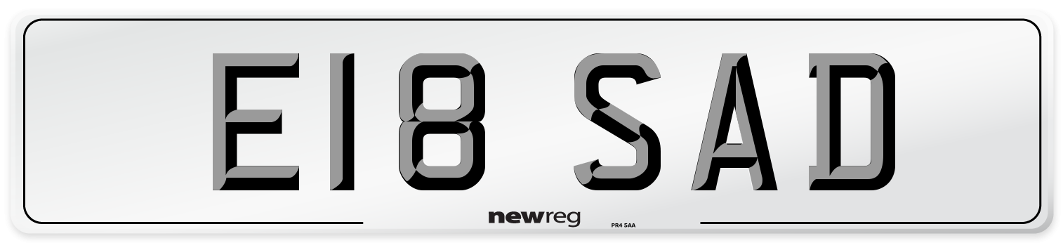 E18 SAD Front Number Plate
