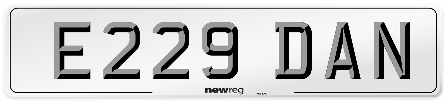 E229 DAN Front Number Plate