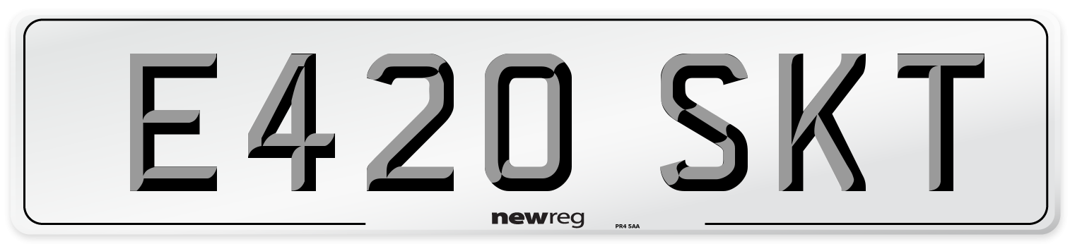 E420 SKT Front Number Plate