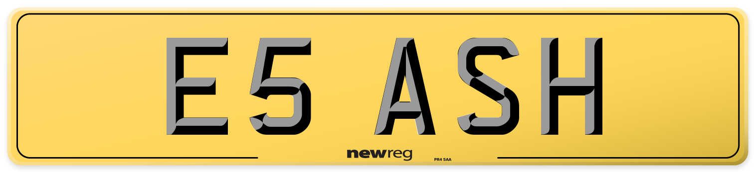 E5 ASH Rear Number Plate