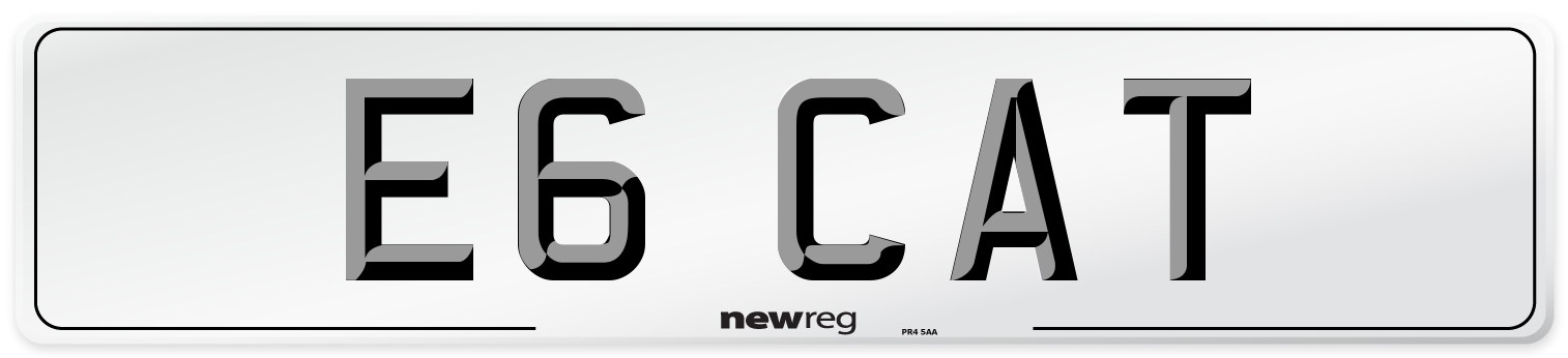E6 CAT Front Number Plate