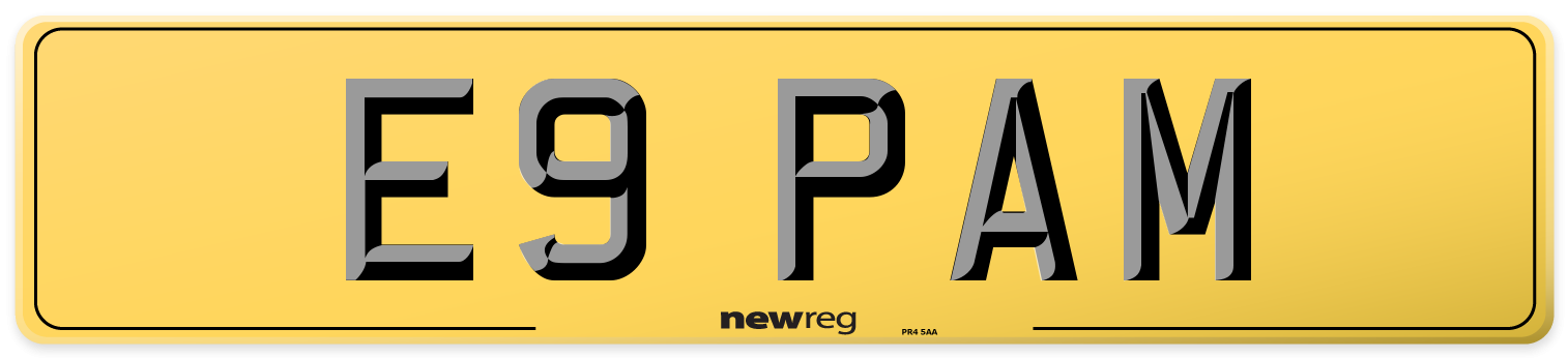 E9 PAM Rear Number Plate
