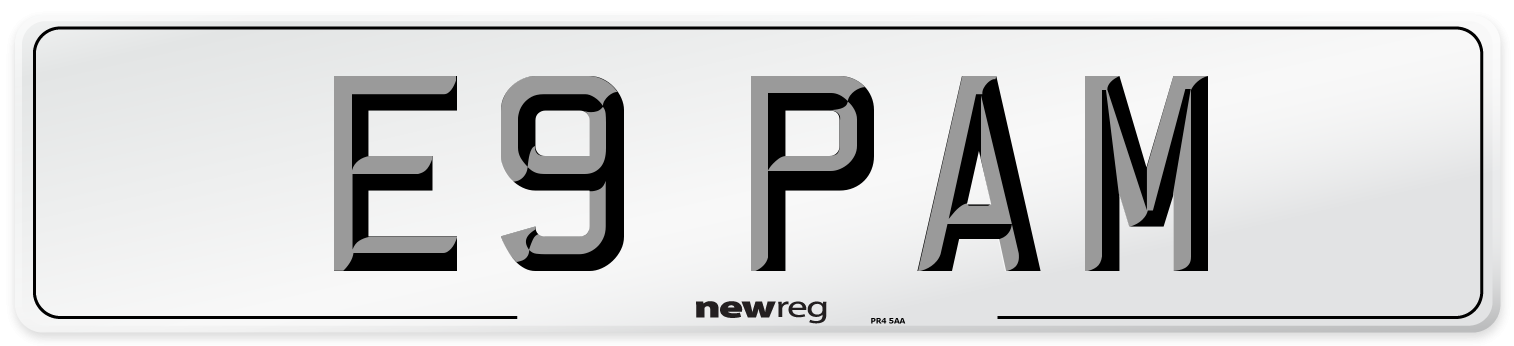 E9 PAM Front Number Plate