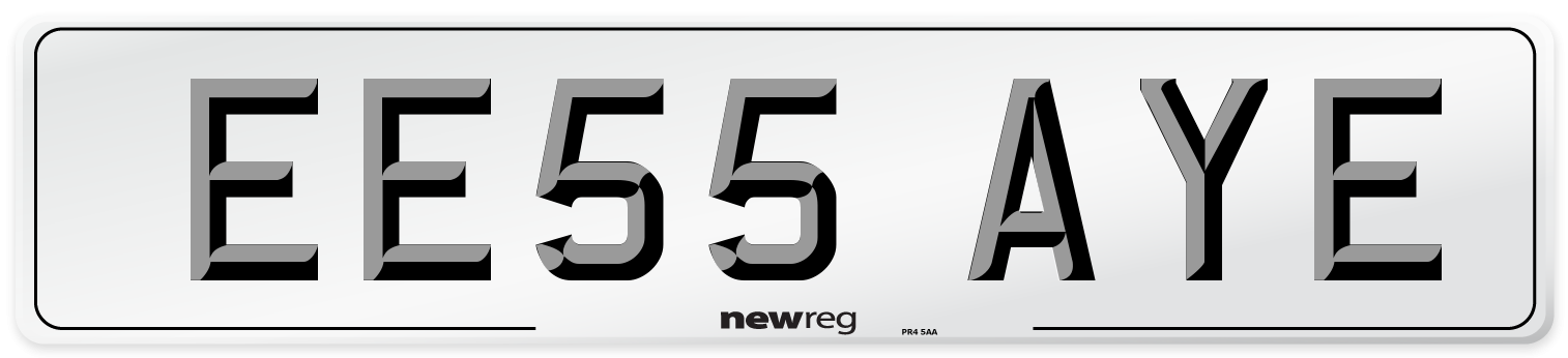EE55 AYE Front Number Plate