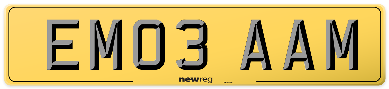 EM03 AAM Rear Number Plate