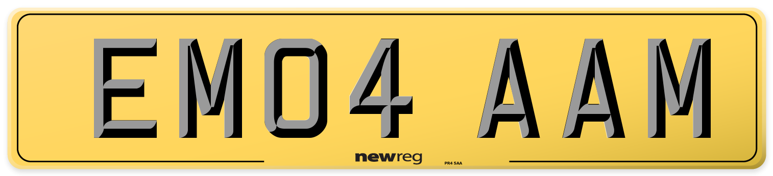 EM04 AAM Rear Number Plate