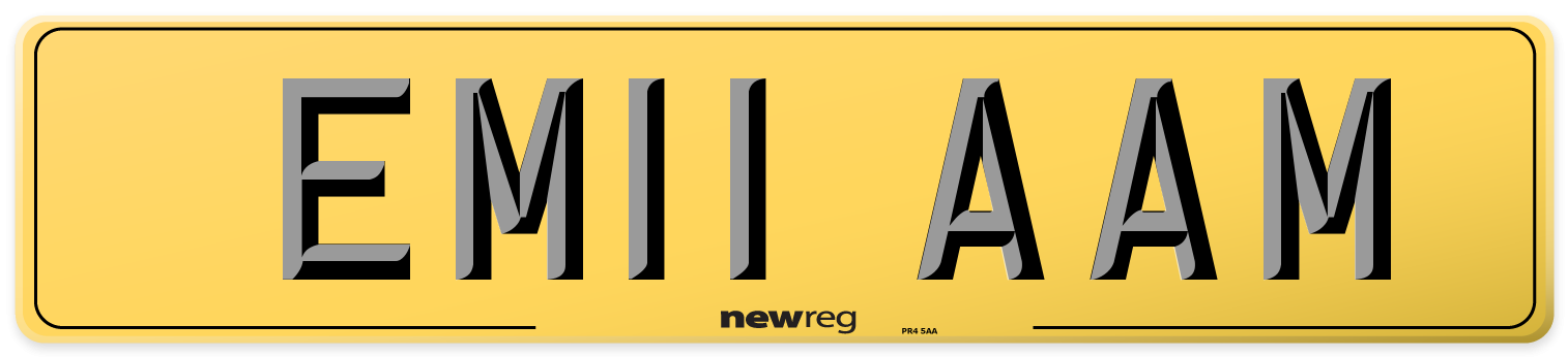EM11 AAM Rear Number Plate