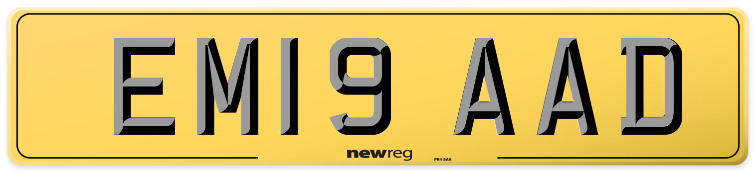 EM19 AAD Rear Number Plate