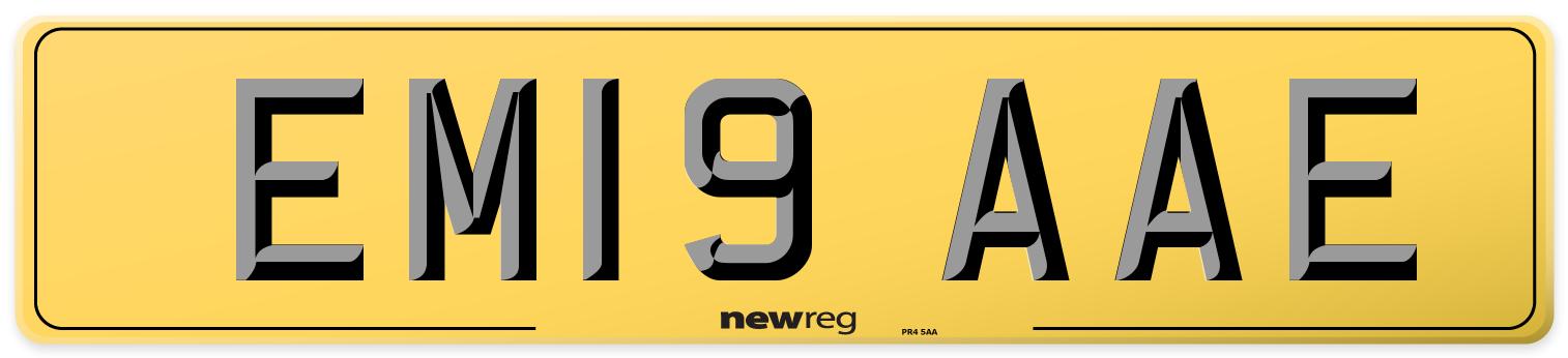 EM19 AAE Rear Number Plate