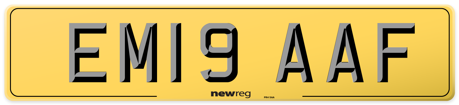 EM19 AAF Rear Number Plate