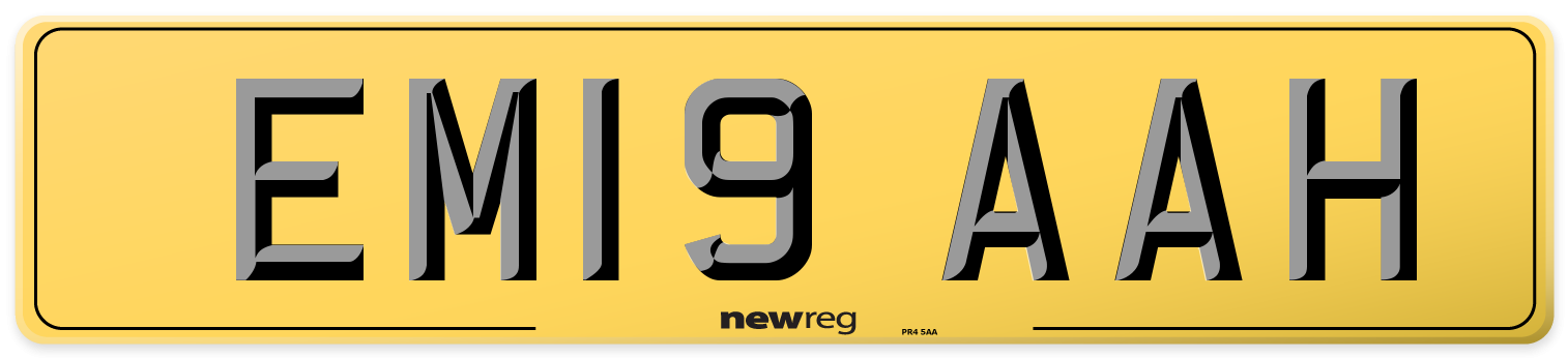 EM19 AAH Rear Number Plate