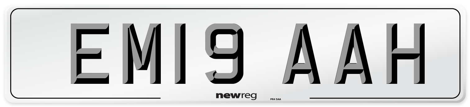 EM19 AAH Front Number Plate