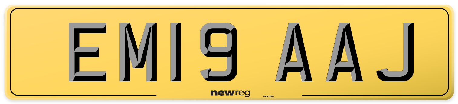 EM19 AAJ Rear Number Plate