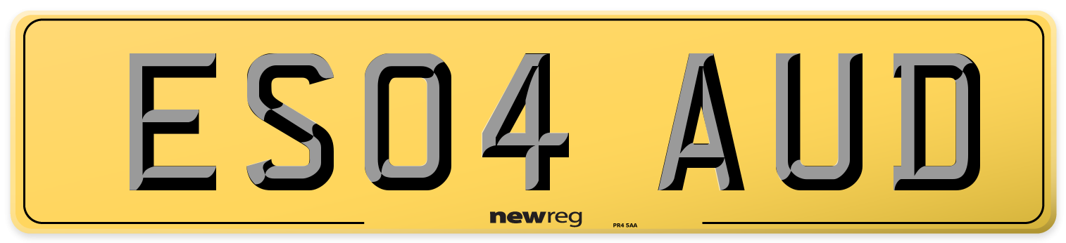 ES04 AUD Rear Number Plate
