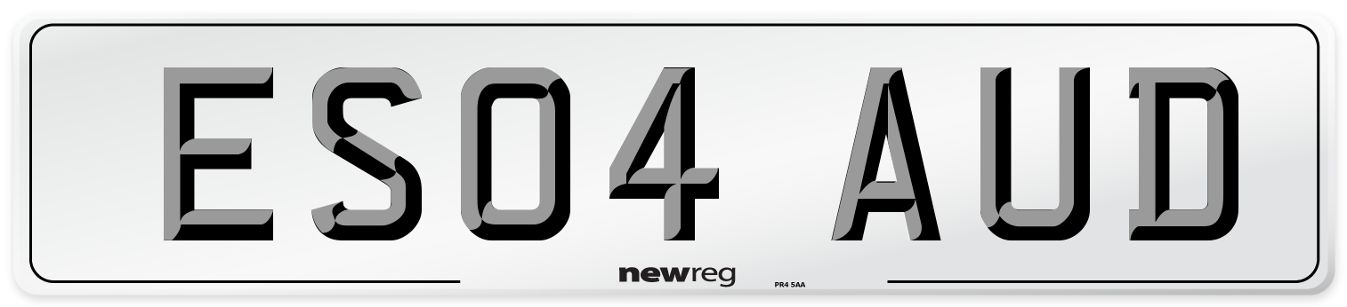 ES04 AUD Front Number Plate