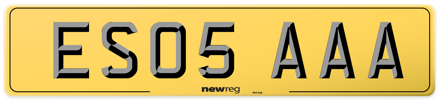 ES05 AAA Rear Number Plate