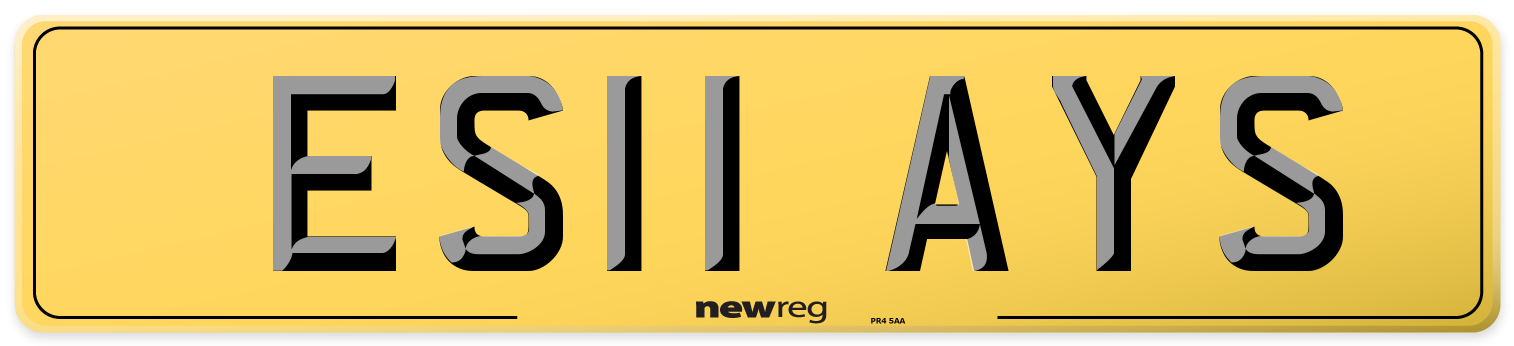 ES11 AYS Rear Number Plate