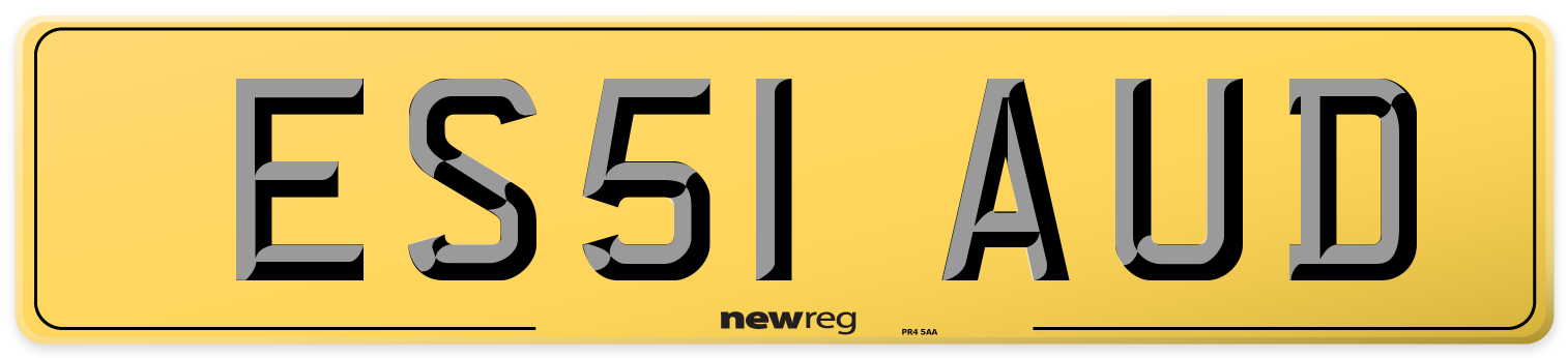 ES51 AUD Rear Number Plate
