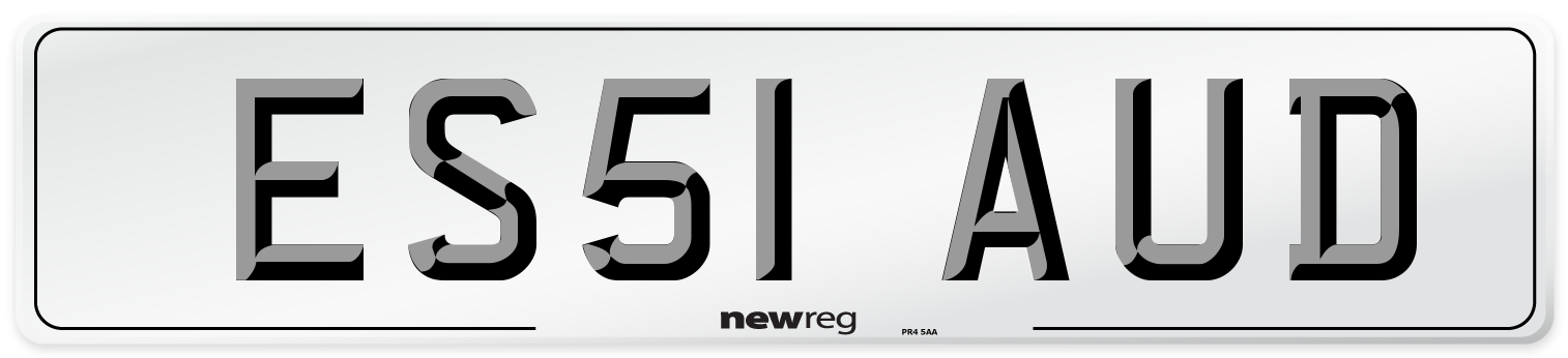 ES51 AUD Front Number Plate