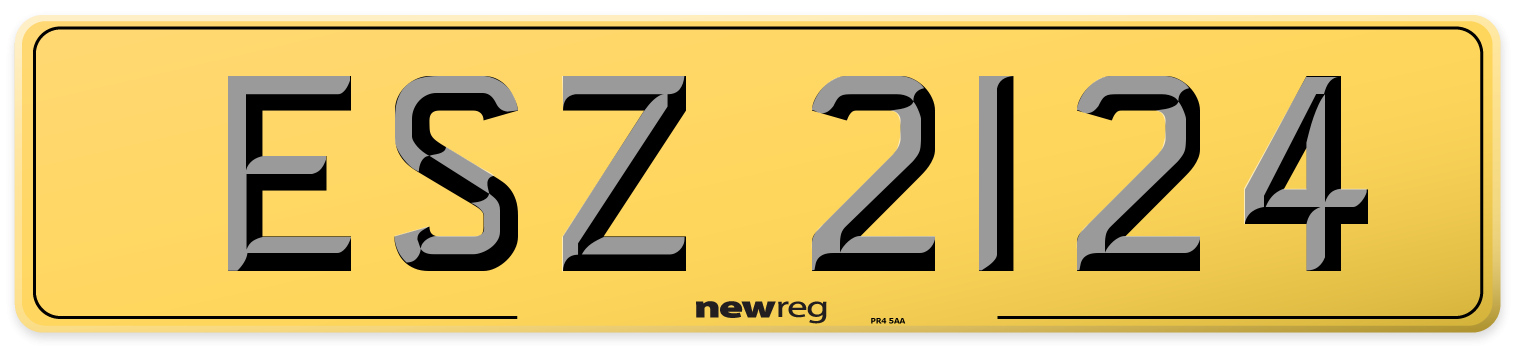 ESZ 2124 Rear Number Plate