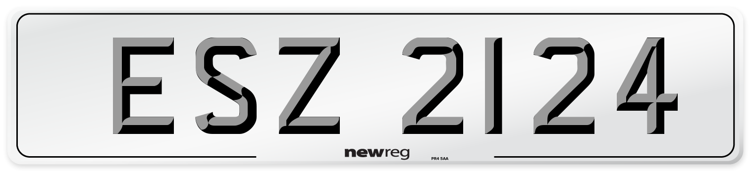 ESZ 2124 Front Number Plate