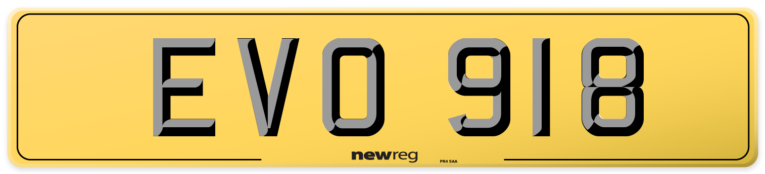 EVO 918 Rear Number Plate