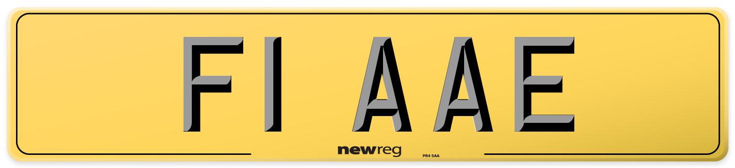 F1 AAE Rear Number Plate