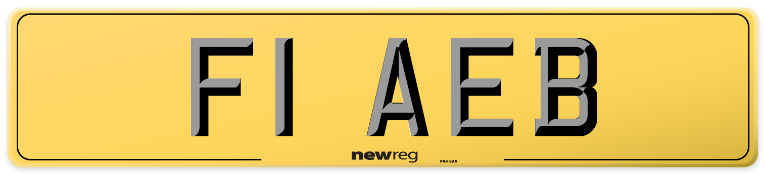 F1 AEB Rear Number Plate