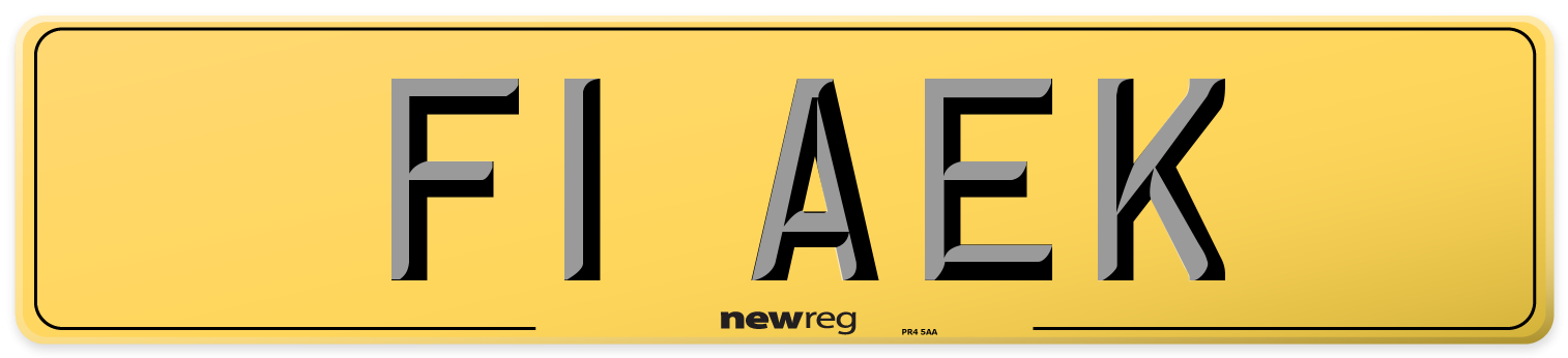 F1 AEK Rear Number Plate