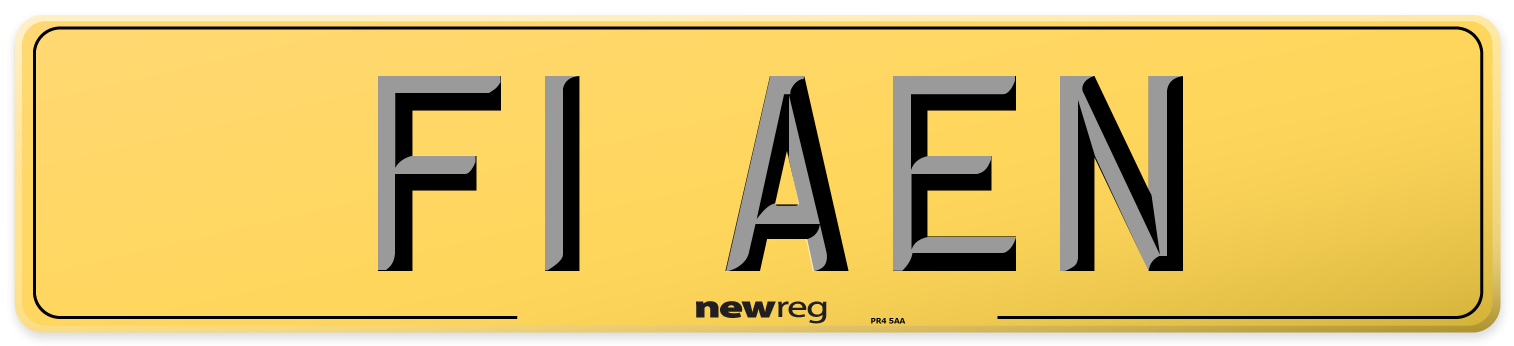 F1 AEN Rear Number Plate