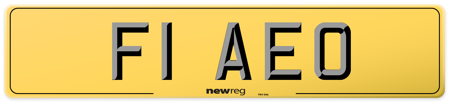 F1 AEO Rear Number Plate