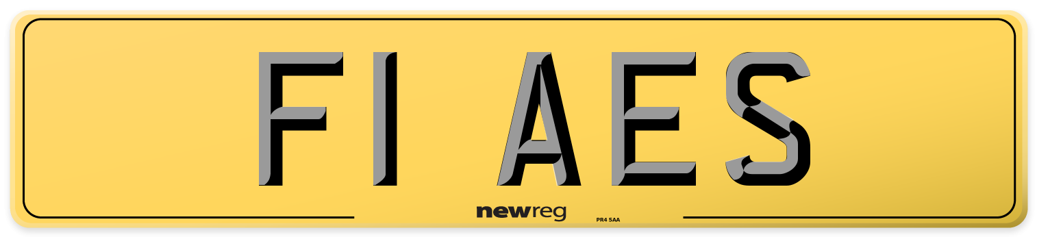 F1 AES Rear Number Plate