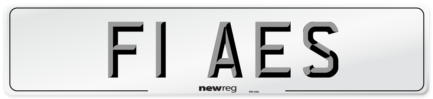 F1 AES Front Number Plate