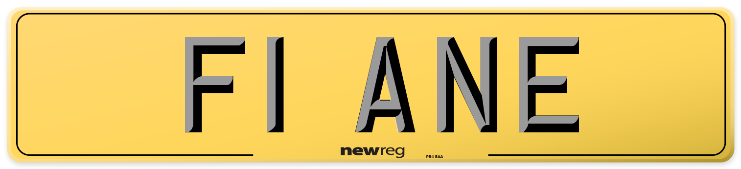 F1 ANE Rear Number Plate