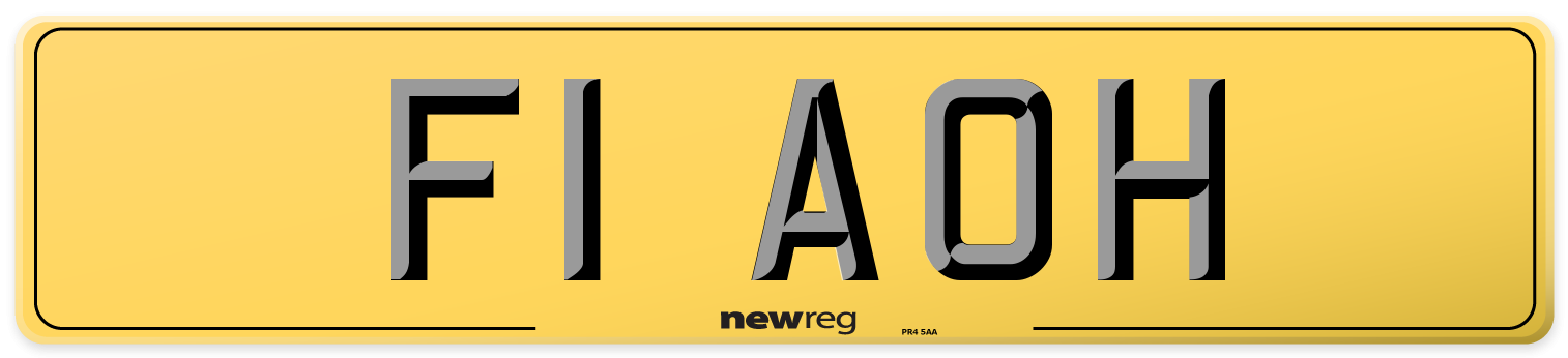 F1 AOH Rear Number Plate