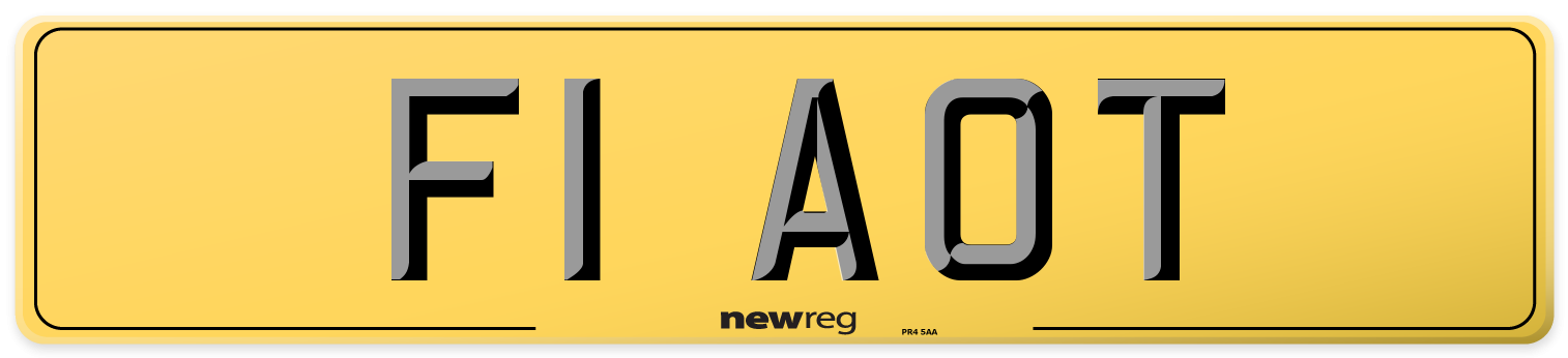 F1 AOT Rear Number Plate