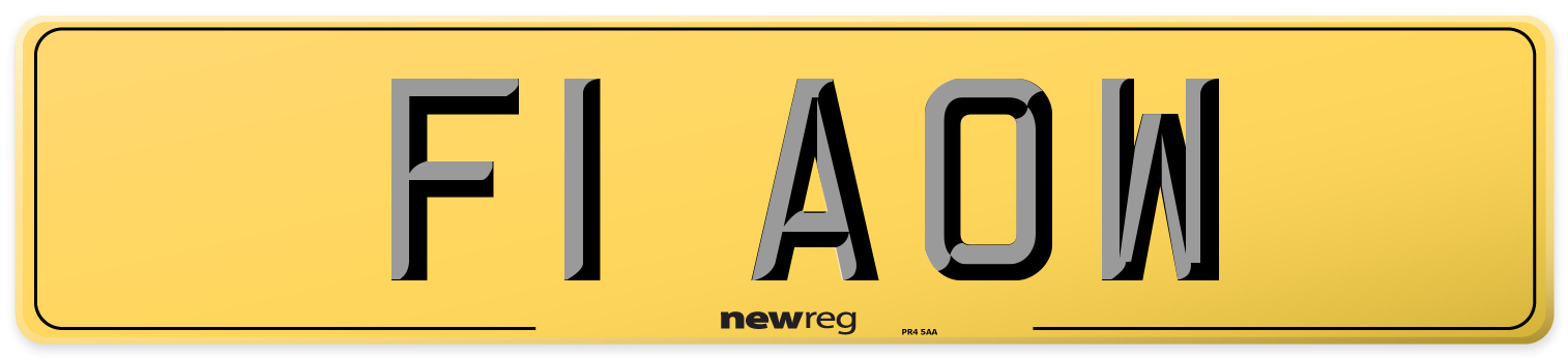 F1 AOW Rear Number Plate