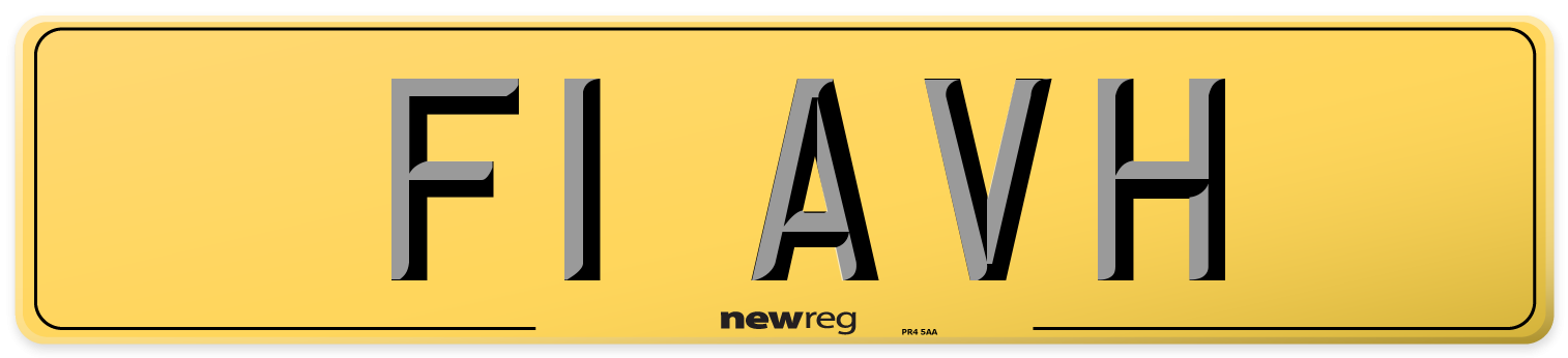 F1 AVH Rear Number Plate