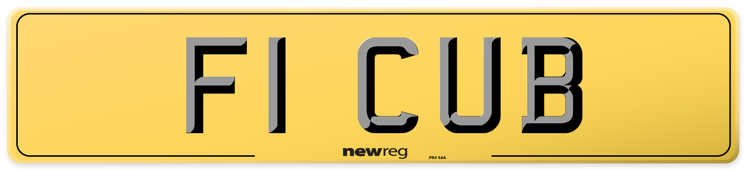 F1 CUB Rear Number Plate