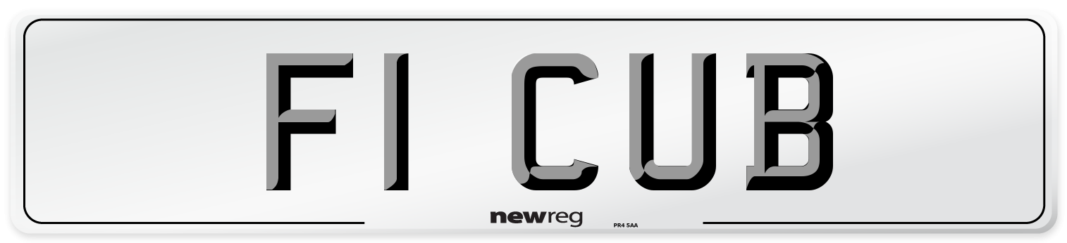F1 CUB Front Number Plate