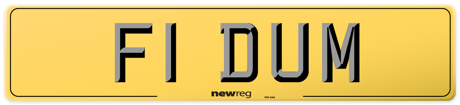 F1 DUM Rear Number Plate