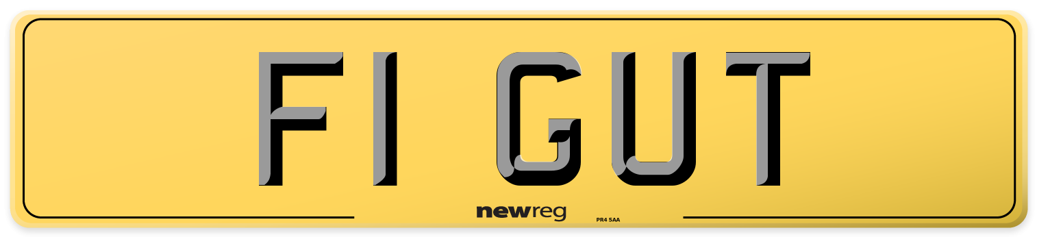 F1 GUT Rear Number Plate