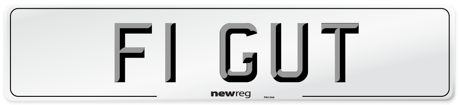 F1 GUT Front Number Plate