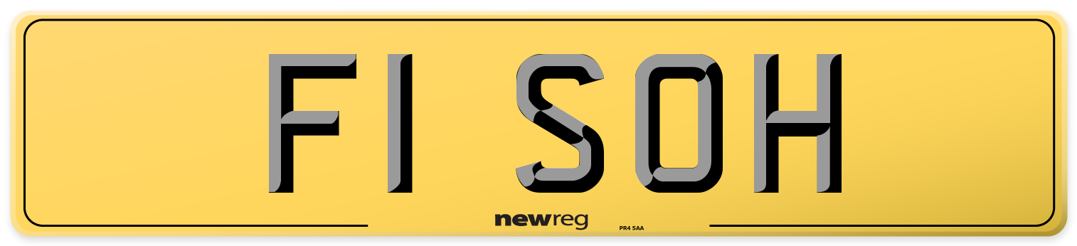 F1 SOH Rear Number Plate